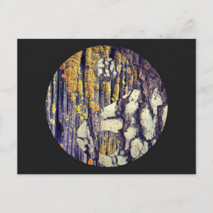 Tree Bark Yin Yang Postcard