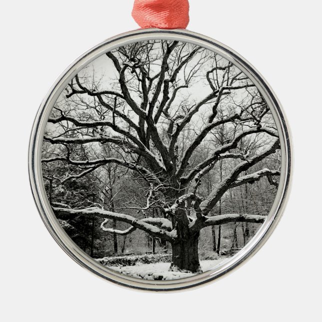 Tree Bedford Oak New York City Metal Tree Decoration (Front)