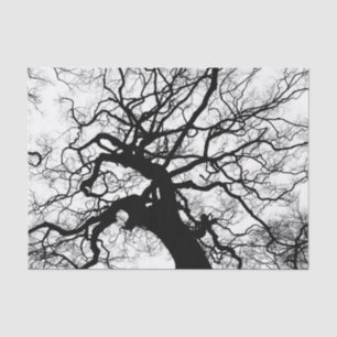Tree Black and White Silhouette Tissue Paper