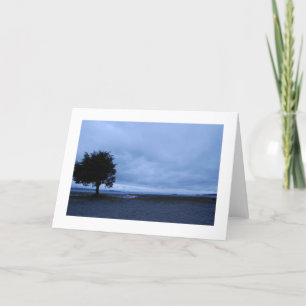 tree - blank inside card
