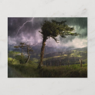 Tree Blowing in the Wind During a Thunder Storm Postcard
