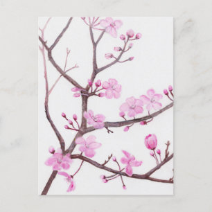 Tree branch blossoming with pink flowers in spring postcard