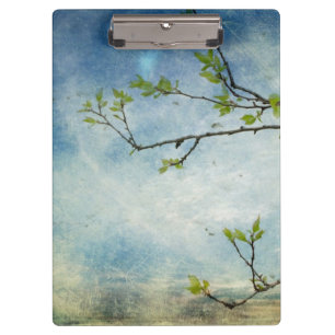 Tree Branch Over Textured Sky Clipboard