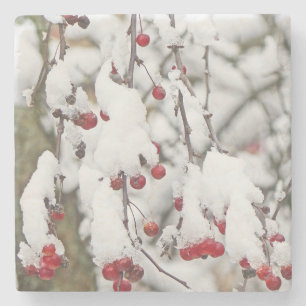 TREE BRANCH STEMS /DANGLING RED BERRIES IN SNOW STONE COASTER