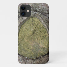 Tree Branch Stub Close Up