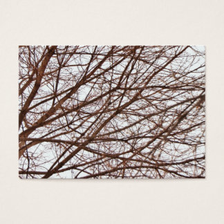 Tree Branches in Fall