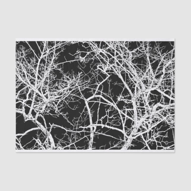 Tree branches on black background tissue paper (Front)