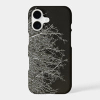Tree branches Photo Negative