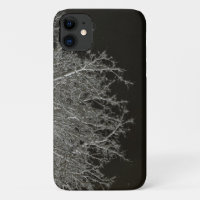 Tree branches Photo Negative
