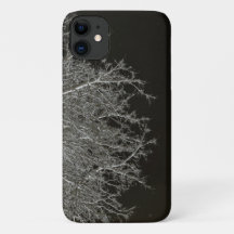 Tree branches Photo Negative