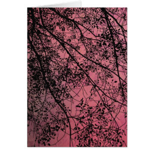 Tree Branches Red, Gute Besserung