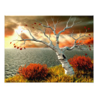 Tree by the Ocean