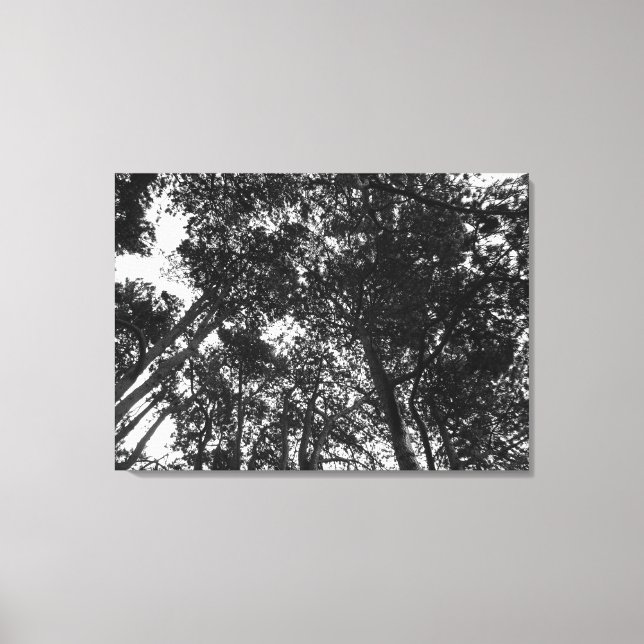 Tree Canopy, Bute Park, Cardiff Canvas Print (Front)