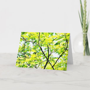 Tree Canopy Pop Art Card