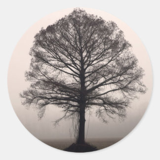 Tree Classic Round Sticker