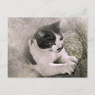Tree Climbing Cat Abstract Watercolor Postcard