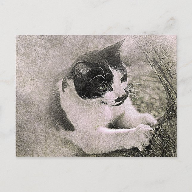 Tree Climbing Cat | Abstract | Watercolor Postcard (Front)