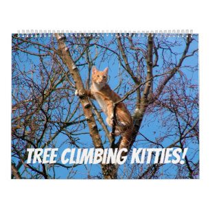 Tree Climbing Kitties Cat & Kittens in Trees 2021 Calendar
