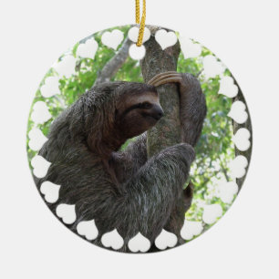 Tree Climbing Sloth Ornament