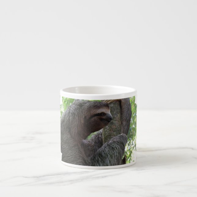 Tree Climbing Sloth Speciality Mug (Front)