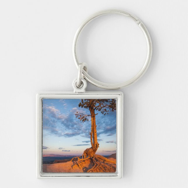 Tree Clings to Ledge, Bryce Canyon National Park Key Ring (Front)