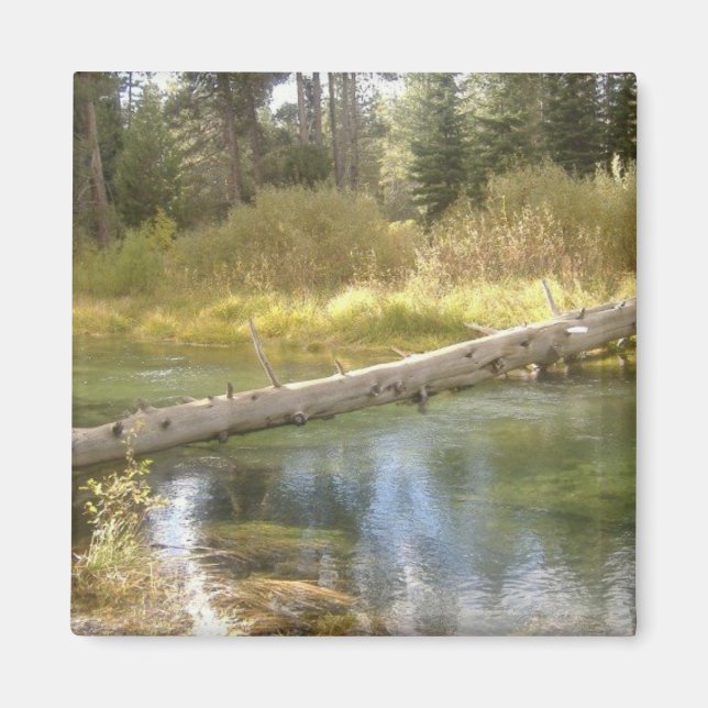 Tree Creek Photo Magnet (Front)