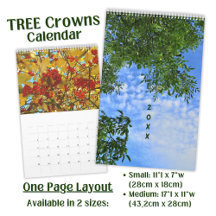 Tree Crowns Photo - long