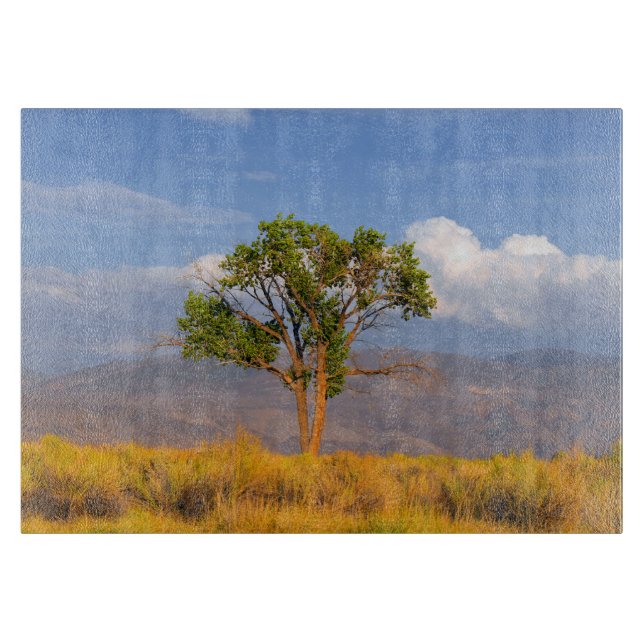Tree Cutting Board (Front)