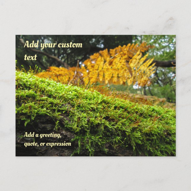 Tree Draped in Autumn Moss - Personalised Postcard (Front)