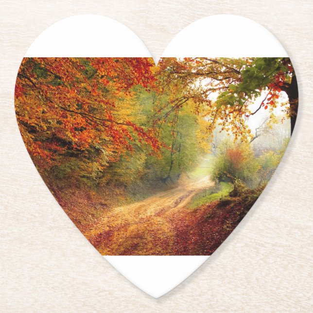 Tree Fall Nature Landscapes Sky Destiny Destiny'S Paper Coaster (Front)