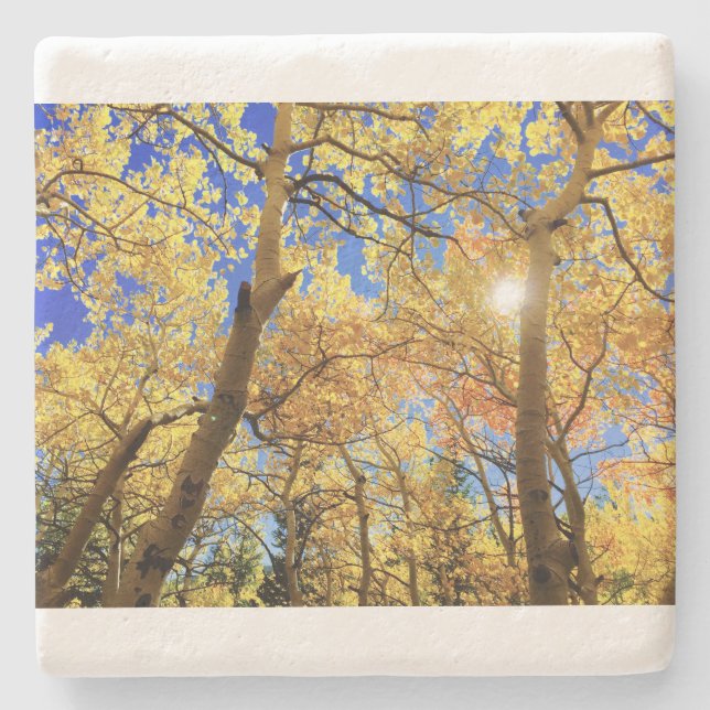 Tree Fall Nature Landscapes Sky Destiny Destiny'S Stone Coaster (Front)