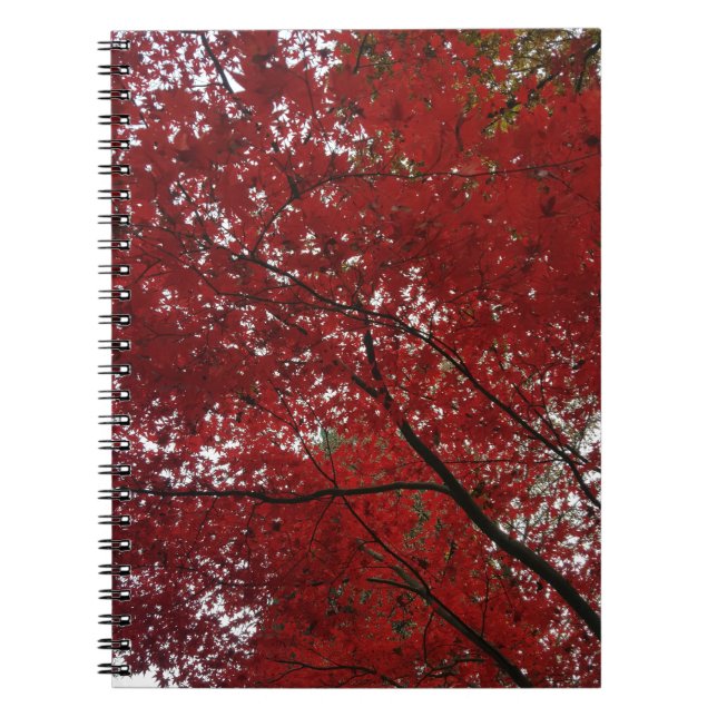 Tree Fall Season Red Brown Autumn Leaves Notebook (Front)