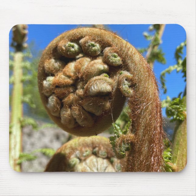 Tree Fern Frond   Mouse Mat (Front)