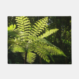 Tree Fern in the Rainforest Doormat