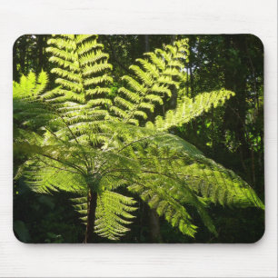 Tree Fern in the Rainforest Mouse Mat
