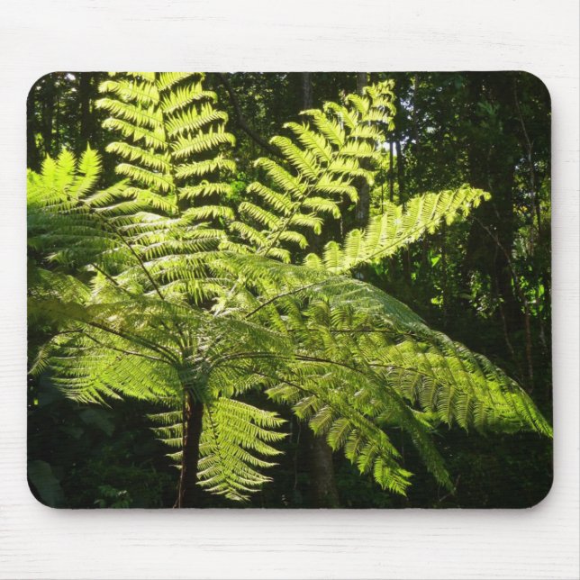 Tree Fern in the Rainforest Mouse Mat (Front)