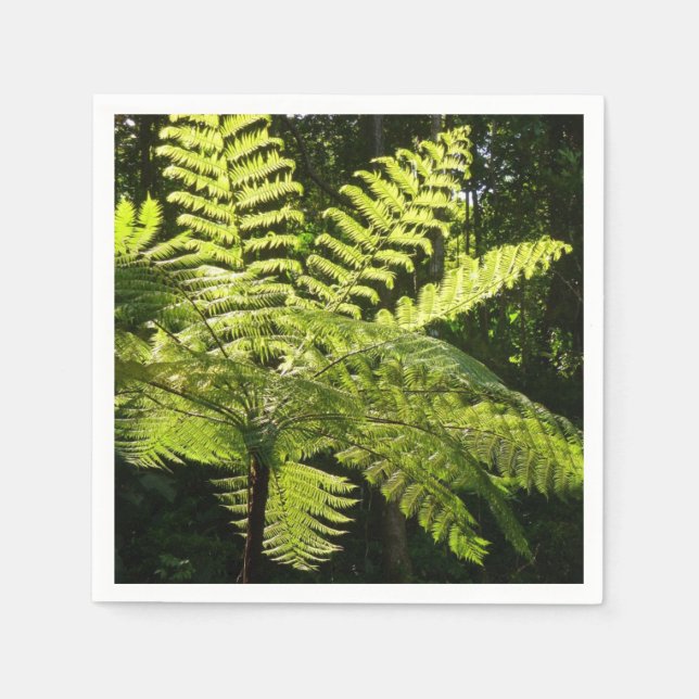 Tree Fern in the Rainforest Napkin (Front)