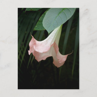 tree flower postcard