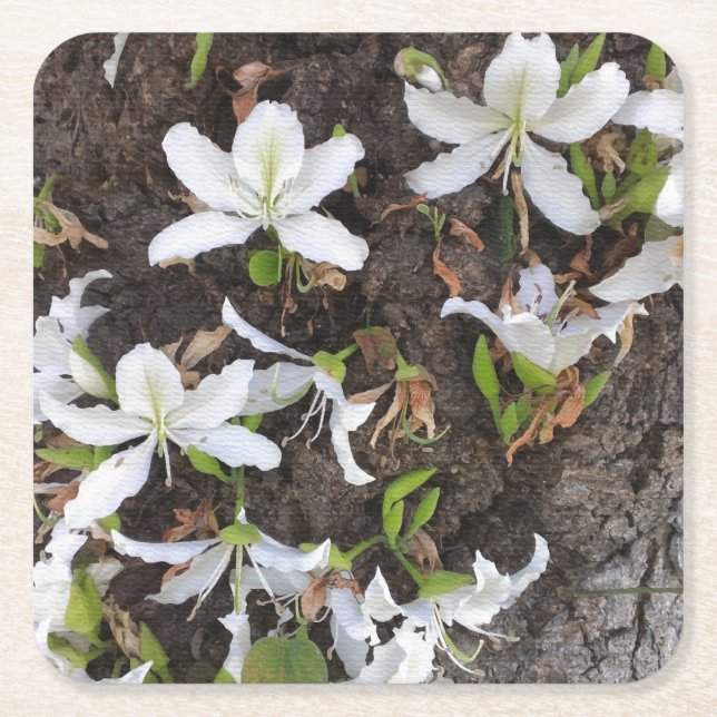 Tree flowers square paper coaster (Front)
