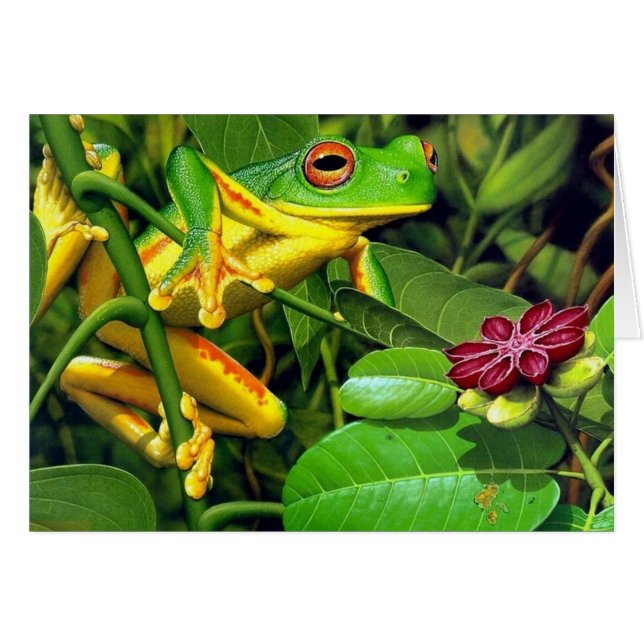 Tree Frog (Front Horizontal)