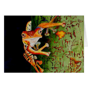 Tree Frog