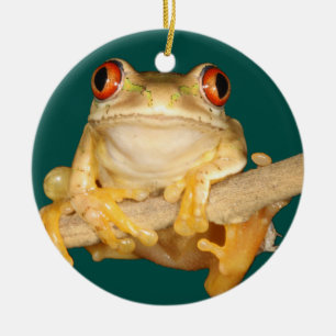Tree Frog Ceramic Tree Decoration