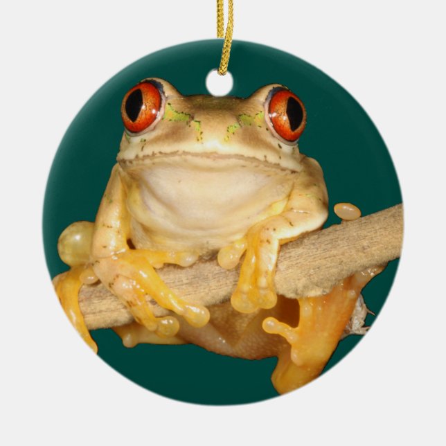 Tree Frog Ceramic Tree Decoration (Front)