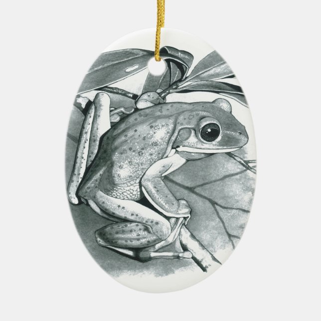 Tree Frog Ceramic Tree Decoration (Front)