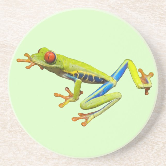 Tree Frog Coaster (Front)
