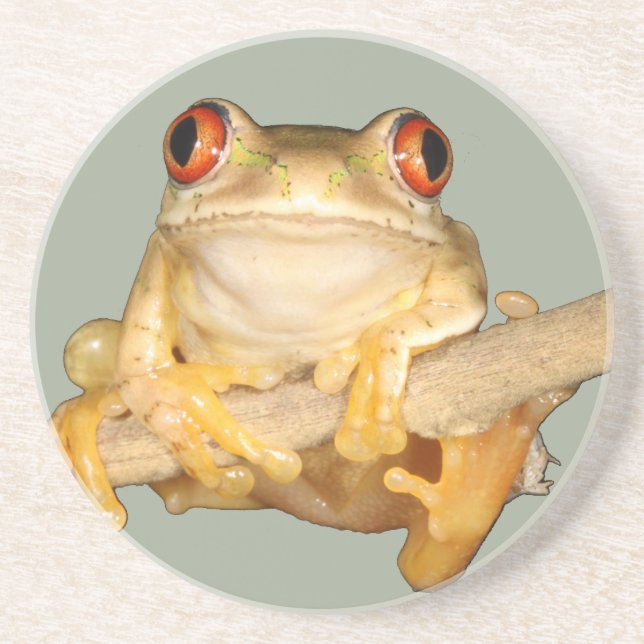 Tree Frog Coaster (Front)