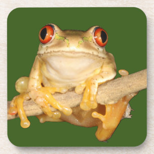 Tree Frog Coaster