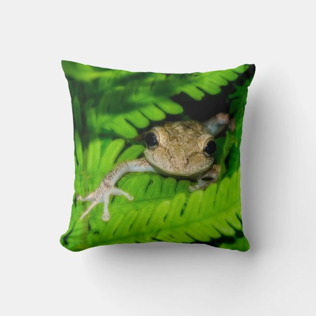 Tree Frog Cushion (Front)