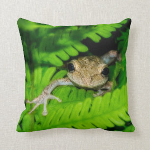 Tree Frog Cushion