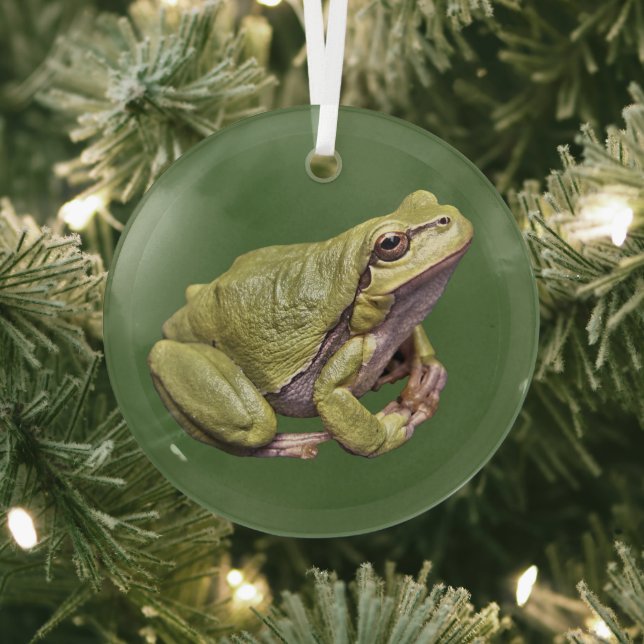 Tree Frog Cute Zen Frog  Glass Ornament (Insitu)